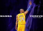 夺冠首场状态出色，湖人观众沸腾！，JackeyLove重返赛场比赛高潮迭起