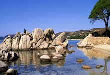 关于美国女足备战决赛，全队齐心协力争取夺冠的信息